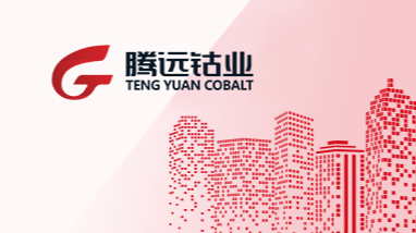 赣州凯发k8一触即发钴业新材料股份有限公司2021年度社会责任报告