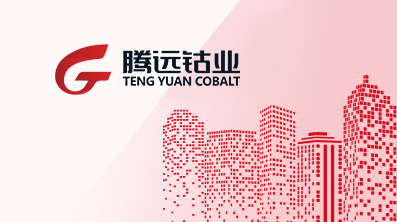 2025年8月环保公示