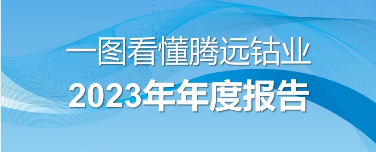 一图看懂凯发k8一触即发钴业2023年年度报告